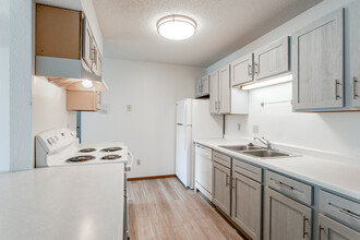 Village Place Apartments in Mankato, MN - Foto de edificio - Interior Photo