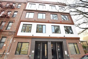 242 - 244 Hawthorne St. in Brooklyn, NY - Building Photo