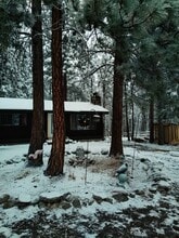 1834 Mountain Meadow Ln in Victor, MT - Building Photo - Building Photo