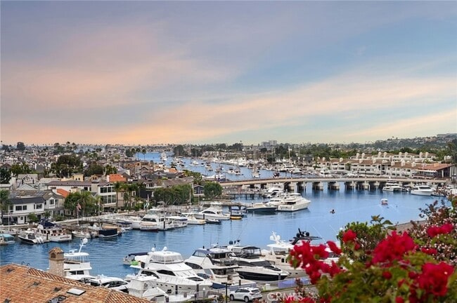 1523 Dolphin Terrace in Newport Beach, CA - Building Photo - Building Photo