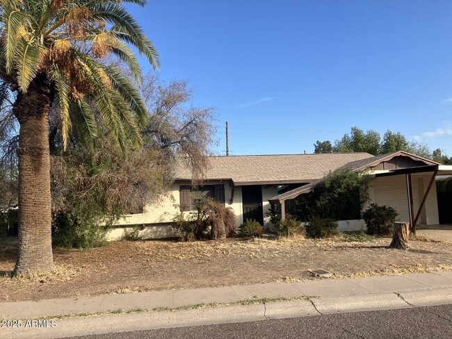 property at 9033 N 15th Dr