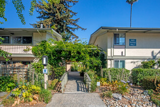 Country Lane Apartments in San Jose, CA - Building Photo - Building Photo