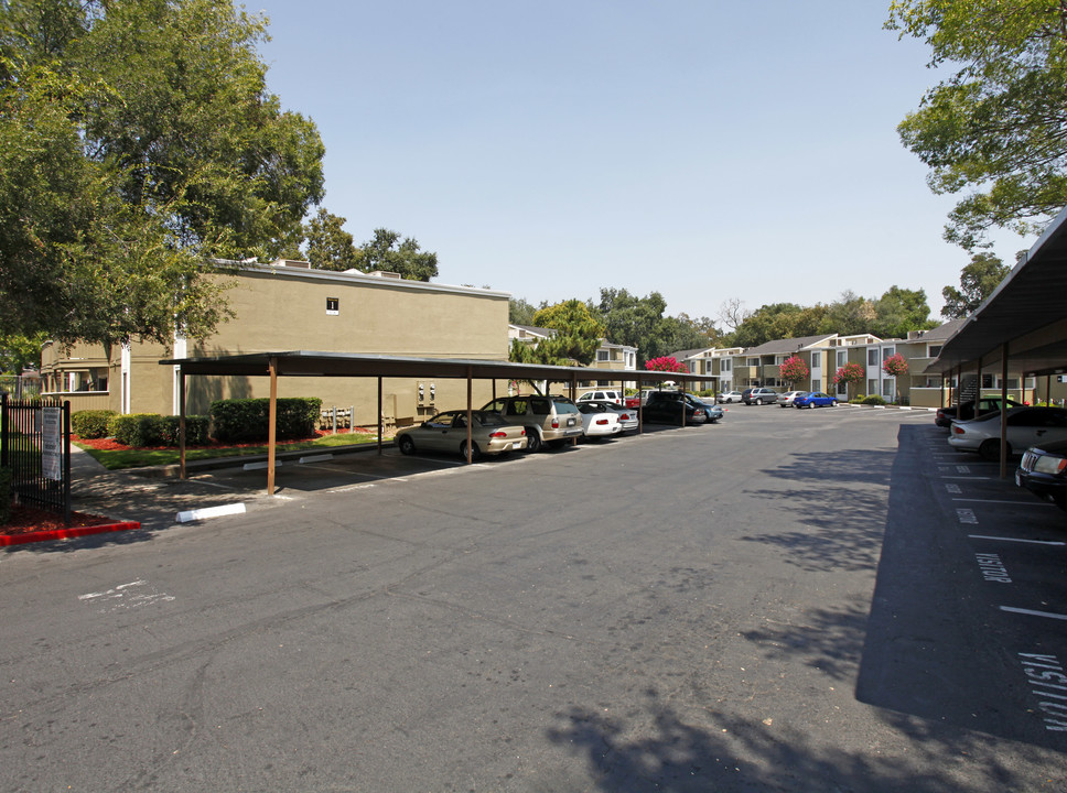 Madison Oaks Apartments in Sacramento, CA - Building Photo