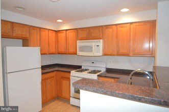 4490 Market Commons Dr-Unit -412 in Fairfax, VA - Building Photo - Building Photo