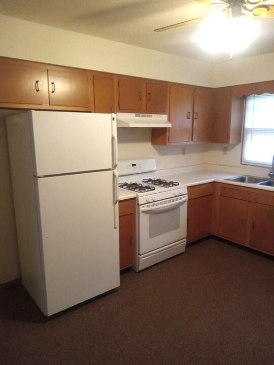 1019 Decatur St in Lincoln, IL - Building Photo