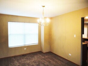 1420 Lasser Dr in Plainfield, IL - Building Photo - Building Photo