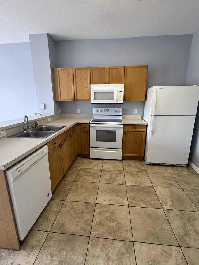 2368 Silver Palm Dr in Kissimmee, FL - Building Photo - Building Photo