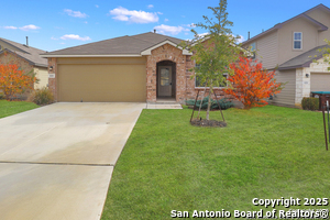 111 Brazilian Ruby in San Antonio, TX - Building Photo