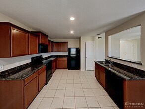 441 Palomino Stand Dr in La Marque, TX - Foto de edificio - Building Photo