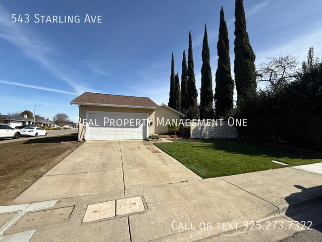 543 Starling Ave in Livermore, CA - Building Photo - Building Photo