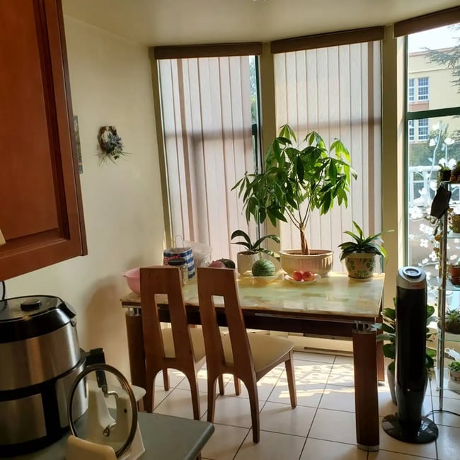 2533 Penticton St in Vancouver, BC - Building Photo - Building Photo