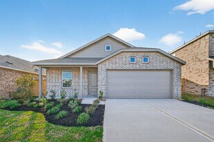 16119 Domestic Dove Wy in Hockley, TX - Building Photo