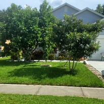 1454 Welson Rd in Orlando, FL - Building Photo