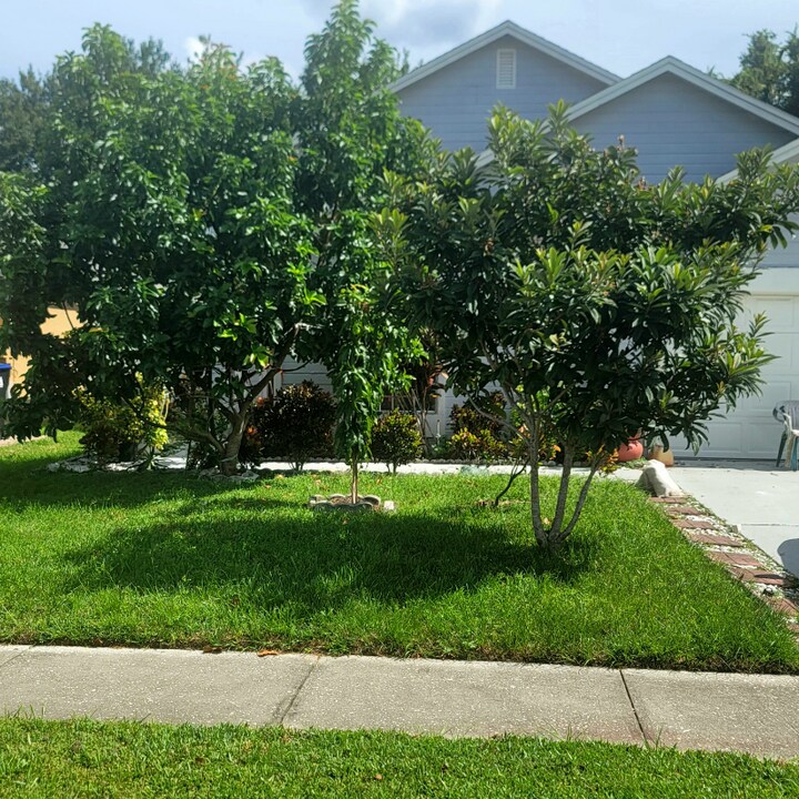 1454 Welson Rd in Orlando, FL - Foto de edificio