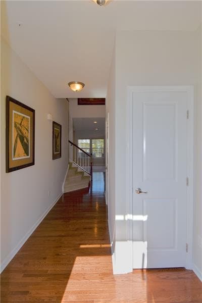 616 Edison Dr in Wexford, PA - Building Photo - Building Photo