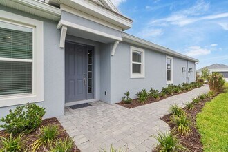 29544 Velletri Ln in Wesley Chapel, FL - Building Photo - Building Photo