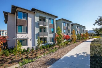 Esencia Norte Apartment Homes in Ladera Ranch, CA - Building Photo - Building Photo