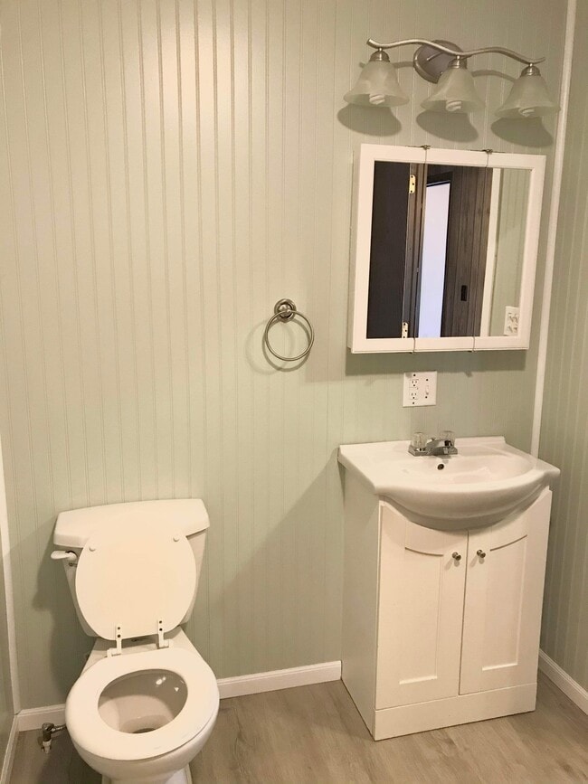 826 Jonathan Run Rd in Parsons, WV - Foto de edificio - Building Photo