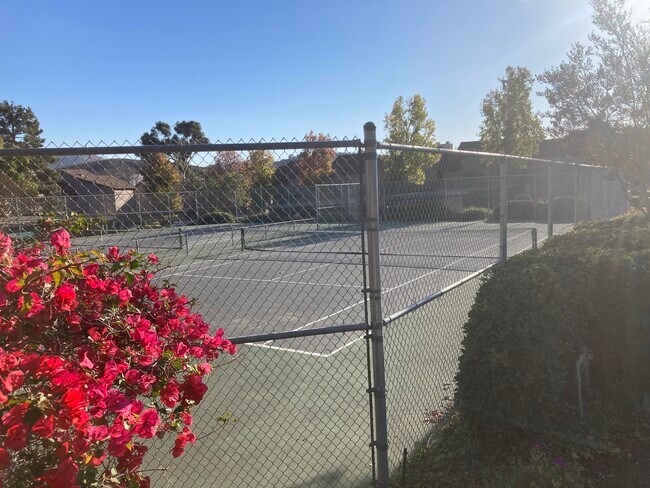 property at 2940 Elm Tree Ct