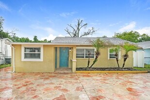 1809 E Sitka St in Tampa, FL - Building Photo