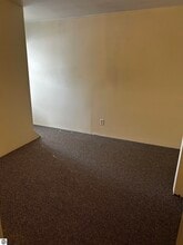 315 E Bellows St in Mt. Pleasant, MI - Building Photo - Building Photo