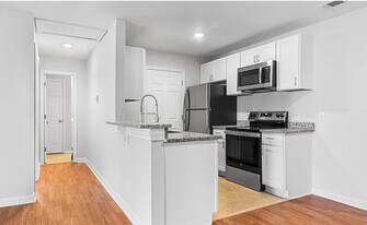 King George Apartments in Savannah, GA - Building Photo