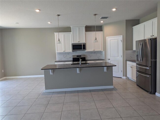 334 Winter Bliss Ln in Mount Dora, FL - Building Photo - Building Photo