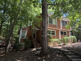 113 S Peak Dr in Carrboro, NC - Building Photo