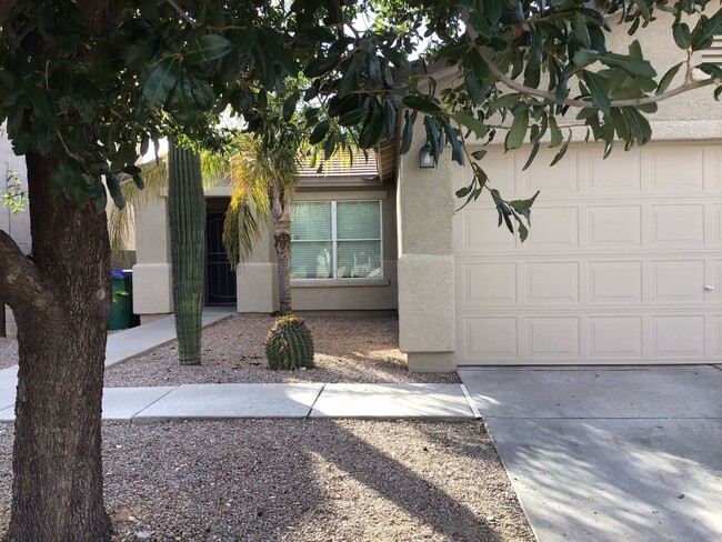 9253 N Centipede Ave in Tucson, AZ - Foto de edificio - Building Photo