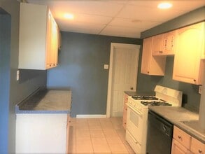 201 Birmingham Ave in Pittsburgh, PA - Building Photo - Building Photo