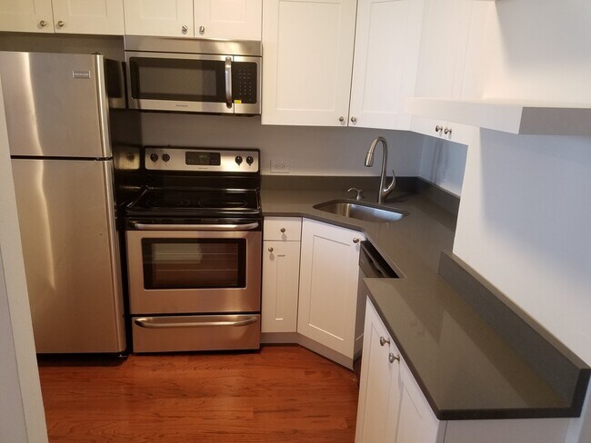 1455 N Sandburg Terrace in Chicago, IL - Building Photo - Building Photo