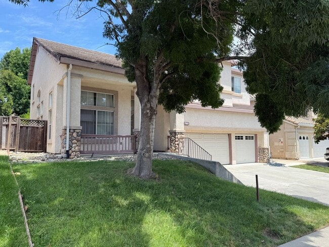 property at 709 Black Oak Way