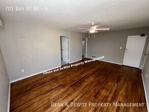 701 Bay St NE in St. Petersburg, FL - Building Photo - Building Photo