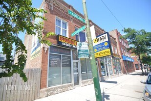 1034 N Ashland Ave in Chicago, IL - Building Photo