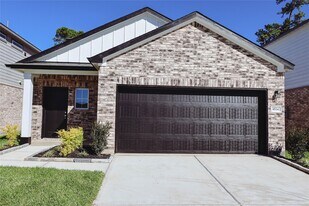 8534 Blueberry Ash St in Magnolia, TX - Building Photo