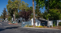 Courtyard Berryessa in San Jose, CA - Building Photo - Building Photo