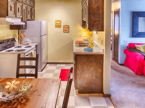 City Limits Apartments in Minneapolis, MN - Building Photo - Building Photo