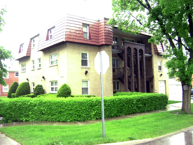 1700-1704 W Touhy Ave in Park Ridge, IL - Building Photo