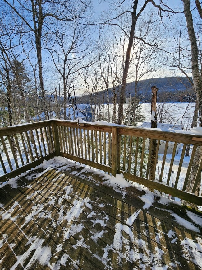 property at 116 Pine Trail