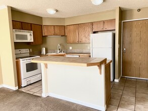 1301 Speer Blvd, Unit 208 in Denver, CO - Building Photo - Building Photo