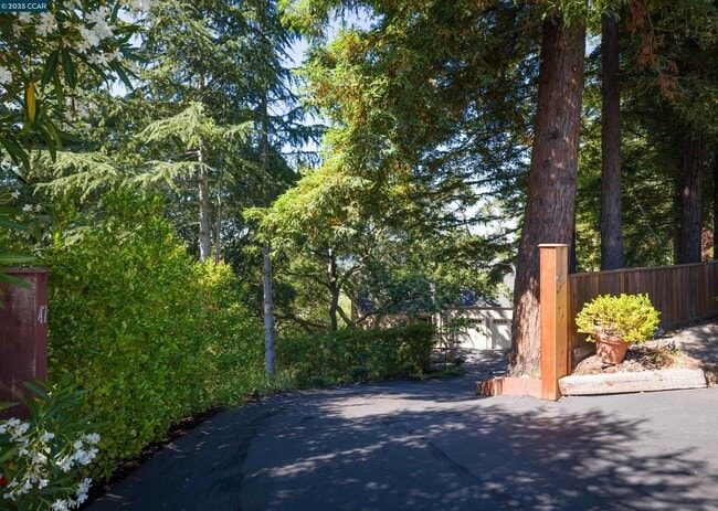 property at 47 El Gavilan Rd