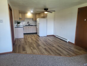 941 Buena Vista Dr in Sun Prairie, WI - Building Photo - Building Photo