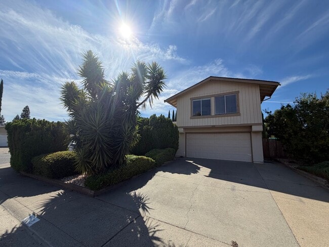 property at 3212 Korovo Ct
