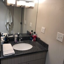 931 S Laflin St, Unit Garden in Chicago, IL - Building Photo - Building Photo