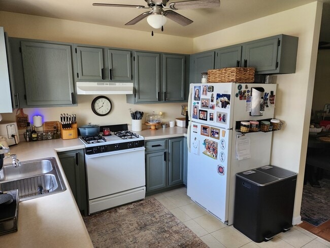 100 Lesley Ln in Crystal Lake, IL - Building Photo - Building Photo