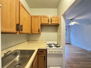 1160 N Dearborn St, Unit J01W in Chicago, IL - Building Photo - Building Photo