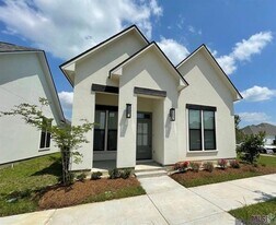 9905 Stone Water Dr in Baton Rouge, LA - Building Photo