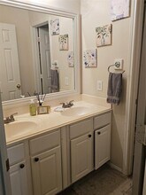 11110 Cliffrose Ct in Houston, TX - Building Photo - Building Photo