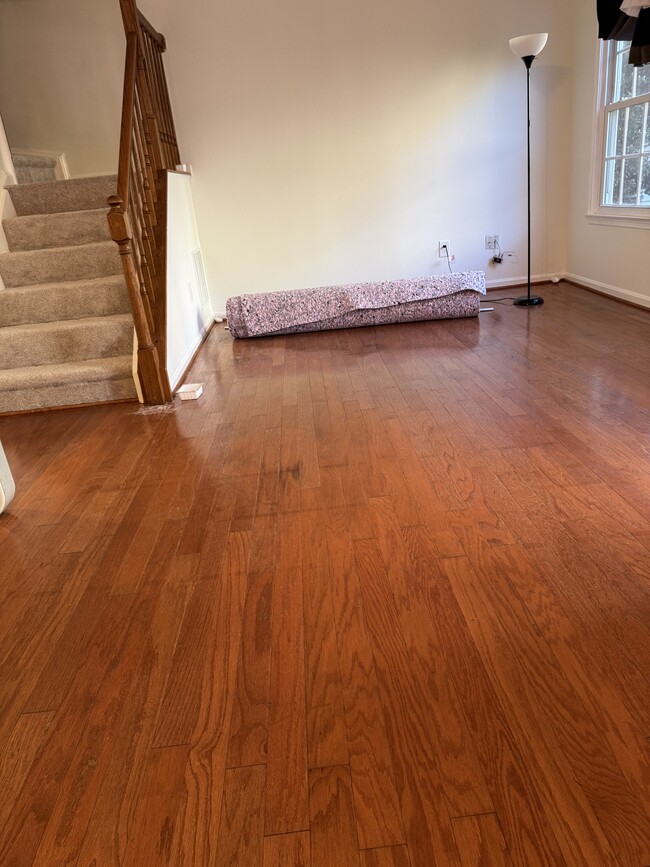 6091 Netherton St in Centreville, VA - Building Photo - Building Photo