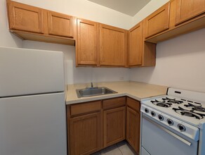 1160 N Dearborn St, Unit 209 in Chicago, IL - Building Photo - Building Photo